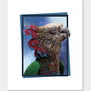 hawk-headed parrot Posters and Art